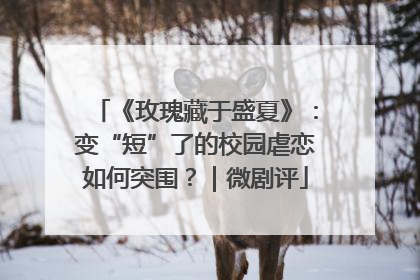 《玫瑰藏于盛夏》：变“短”了的校园虐恋如何突围？｜微剧评