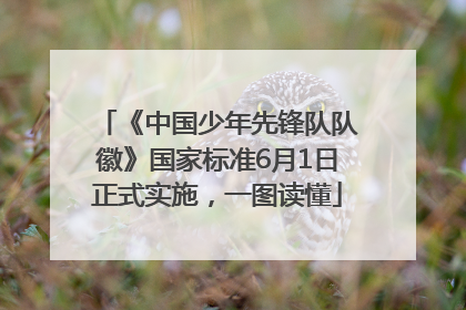 《中国少年先锋队队徽》国家标准6月1日正式实施，一图读懂
