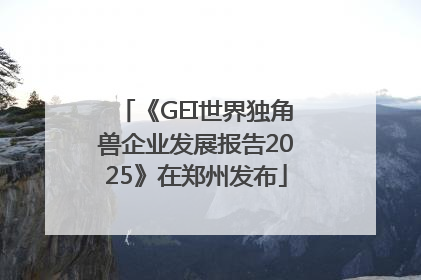 《GEI世界独角兽企业发展报告2025》在郑州发布