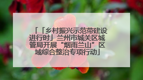 「乡村振兴示范带建设进行时」兰州市城关区城管局开展“烟雨兰山”区域综合整治专项行动