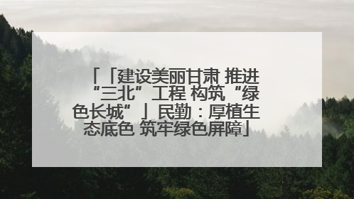「建设美丽甘肃 推进“三北”工程 构筑“绿色长城”」民勤：厚植生态底色 筑牢绿色屏障