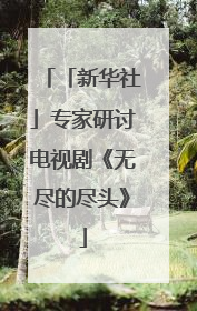 「新华社」专家研讨电视剧《无尽的尽头》