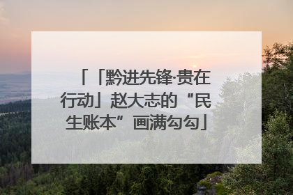 「黔进先锋·贵在行动」赵大志的“民生账本”画满勾勾