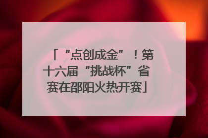 “点创成金”！第十六届“挑战杯”省赛在邵阳火热开赛