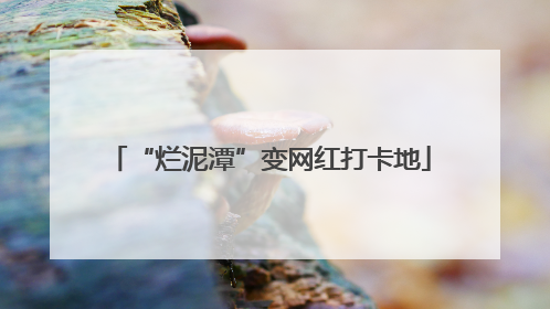 “烂泥潭”变网红打卡地