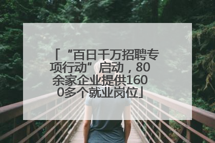 “百日千万招聘专项行动”启动，80余家企业提供1600多个就业岗位