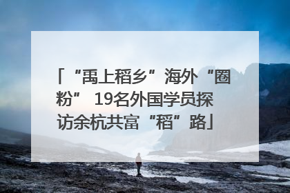“禹上稻乡”海外“圈粉” 19名外国学员探访余杭共富“稻”路