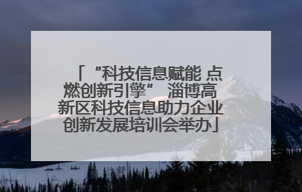 “科技信息赋能 点燃创新引擎” 淄博高新区科技信息助力企业创新发展培训会举办