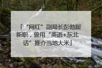 “网红”副局长彭勃履新职，曾用“英语+东北话”推介当地大米