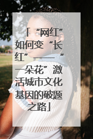 “网红”如何变“长红”——“一朵花”激活城市文化基因的破题之路