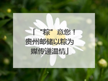 “粽”意您！贵州邮储以粽为媒传递温情