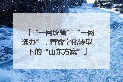 “一网统管”“一网通办”，看数字化转型下的“山东方案”
