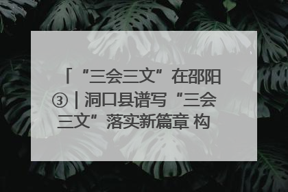 “三会三文”在邵阳③｜洞口县谱写“三会三文”落实新篇章 构建协同联动大格局