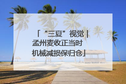 “三夏”视觉｜孟州麦收正当时 机械减损保归仓