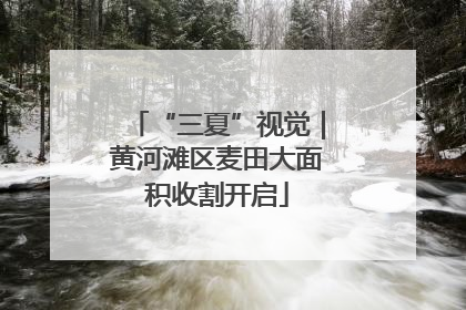 “三夏”视觉｜黄河滩区麦田大面积收割开启