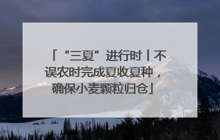 “三夏”进行时丨不误农时完成夏收夏种，确保小麦颗粒归仓