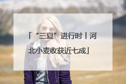 “三夏”进行时丨河北小麦收获近七成