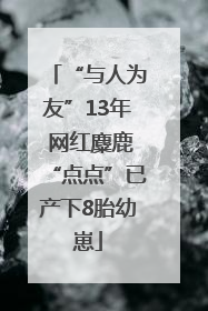 “与人为友”13年 网红麋鹿“点点”已产下8胎幼崽