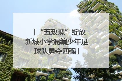 “五玫瑰”绽放 新城小学混编少年足球队勇夺四强