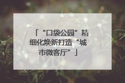 “口袋公园”精细化焕新打造“城市微客厅”