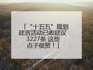 “十五五”规划建言活动已收建议3227条 这些点子很赞！