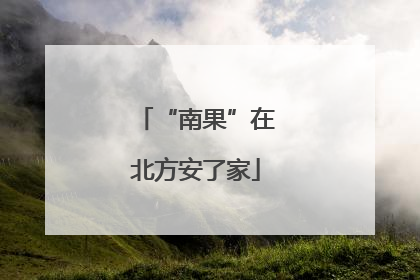 “南果”在北方安了家