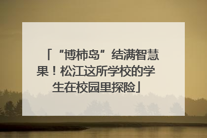 “博柿岛”结满智慧果！松江这所学校的学生在校园里探险