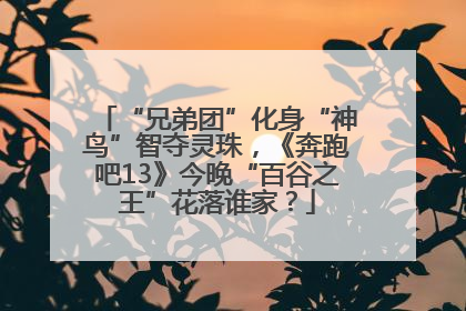 “兄弟团”化身“神鸟”智夺灵珠，《奔跑吧13》今晚“百谷之王”花落谁家？