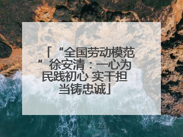 “全国劳动模范”徐安清：一心为民践初心 实干担当铸忠诚