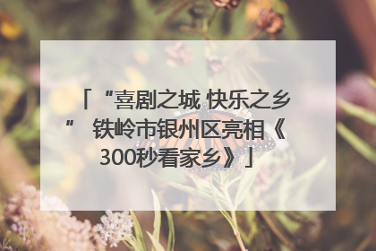 “喜剧之城 快乐之乡” 铁岭市银州区亮相《300秒看家乡》
