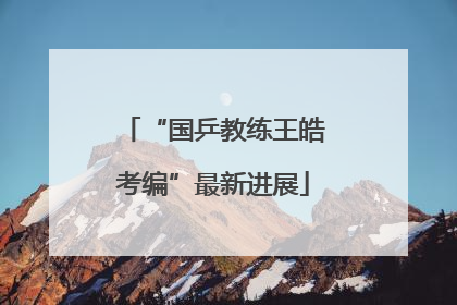 “国乒教练王皓考编”最新进展