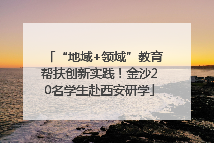 “地域+领域”教育帮扶创新实践！金沙20名学生赴西安研学