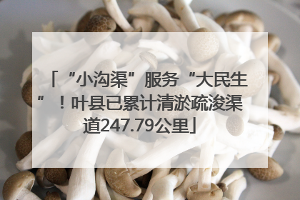 “小沟渠”服务“大民生”！叶县已累计清淤疏浚渠道247.79公里