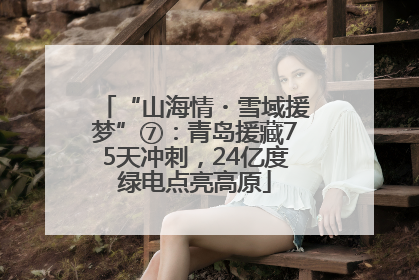 “山海情・雪域援梦”⑦：青岛援藏75天冲刺，24亿度绿电点亮高原