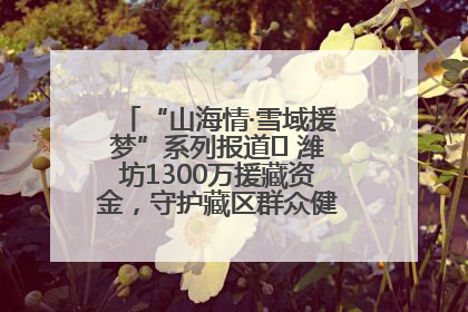 “山海情·雪域援梦”系列报道⑪ 潍坊1300万援藏资金，守护藏区群众健康“最后一公里”