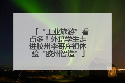 “工业旅游”看点多！外籍学生走进胶州李哥庄镇体验“胶州智造”