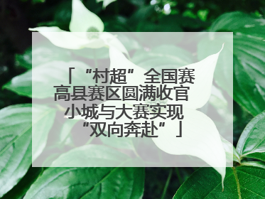 “村超”全国赛高县赛区圆满收官 小城与大赛实现“双向奔赴”