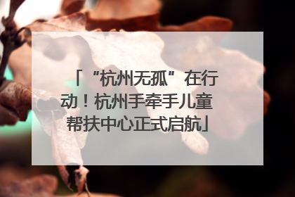 “杭州无孤”在行动！杭州手牵手儿童帮扶中心正式启航