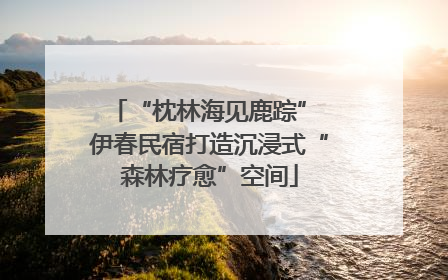 “枕林海见鹿踪” 伊春民宿打造沉浸式“森林疗愈”空间