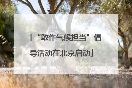“敢作气候担当”倡导活动在北京启动