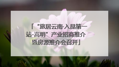 “旅居云南·入昆第一站-嵩明”产业招商推介暨房源推介会召开
