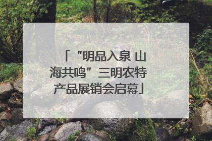 “明品入泉 山海共鸣”三明农特产品展销会启幕