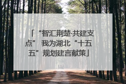 “智汇荆楚·共建支点” 我为湖北“十五五”规划建言献策