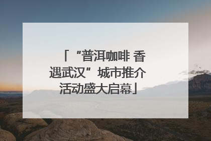 “普洱咖啡 香遇武汉”城市推介活动盛大启幕