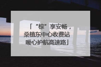 “棕”享安畅，桑植东中心收费站暖心护航高速路