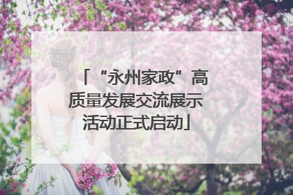 “永州家政”高质量发展交流展示活动正式启动