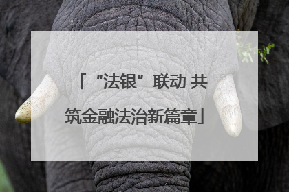 “法银”联动 共筑金融法治新篇章