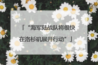 “海军陆战队将很快在洛杉矶展开行动”