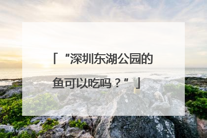 “深圳东湖公园的鱼可以吃吗？”
