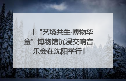 “艺境共生·博物华章”博物馆沉浸交响音乐会在沈阳举行